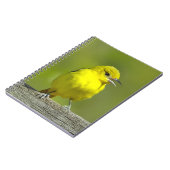 Orchard Oriole - Original Foto Notizblock (Linke Seite)