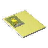 Orchard Oriole - Original Foto Notizblock (angewinkelt)