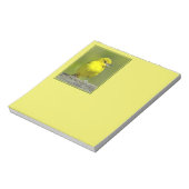 Orchard Oriole - Original Foto Notizblock (Rotiert)