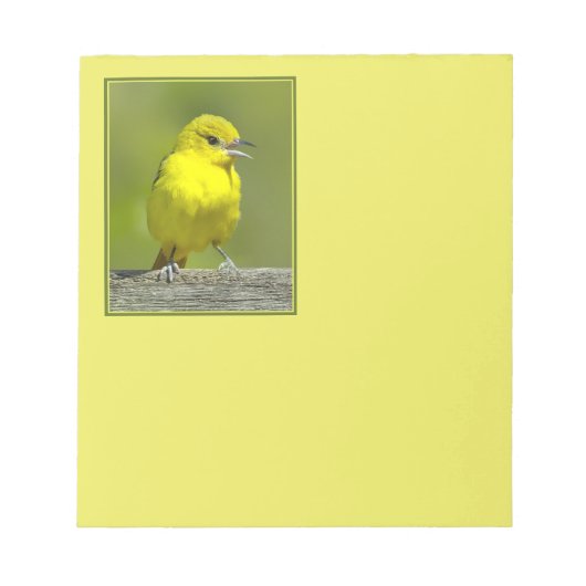 Orchard Oriole - Original Foto Notizblock (Vorderseite)