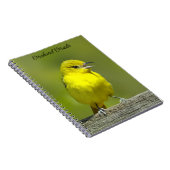 Orchard Oriole - Original Foto Notizblock (Rechte Seite)