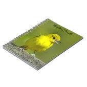 Orchard Oriole - Original Foto Notizblock (Linke Seite)