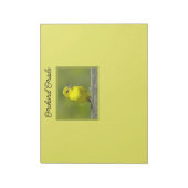Orchard Oriole - Original Foto Notizblock (Rotiert)