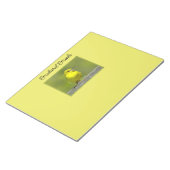 Orchard Oriole - Original Foto Notizblock (angewinkelt)
