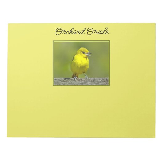 Orchard Oriole - Original Foto Notizblock (Vorderseite)