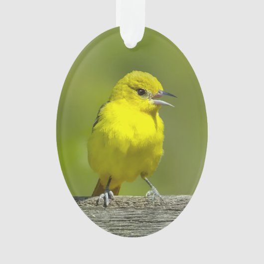 Orchard Oriole - Original Foto Ornament (Vorderseite)