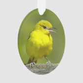 Orchard Oriole - Original Foto Ornament (Rückseite)