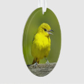Orchard Oriole - Original Foto Ornament (Vorderseite)