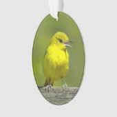 Orchard Oriole - Original Foto Ornament (Vorderseite)