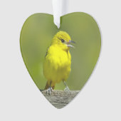 Orchard Oriole - Original Foto Ornament (Vorderseite)