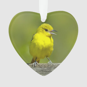 Orchard Oriole - Original Foto Ornament