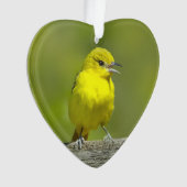 Orchard Oriole - Original Foto Ornament (Vorderseite)