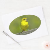 Orchard Oriole - Original Foto Ovaler Aufkleber (Umschlag)