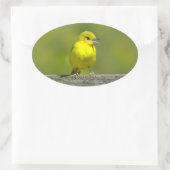 Orchard Oriole - Original Foto Ovaler Aufkleber (Tasche)