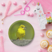 Orchard Oriole - Original Foto Pappteller (Party)