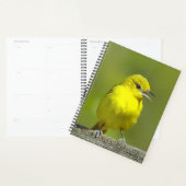 Orchard Oriole - Original Foto Planer (Anzeige)