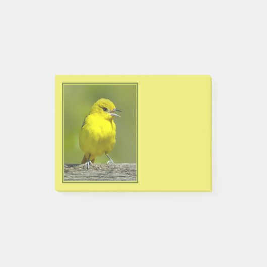 Orchard Oriole - Original Foto Post-it Klebezettel (Vorderseite)