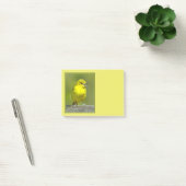 Orchard Oriole - Original Foto Post-it Klebezettel (Büro)
