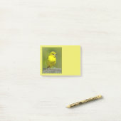 Orchard Oriole - Original Foto Post-it Klebezettel (Auf Schreibtisch)