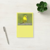 Orchard Oriole - Original Foto Post-it Klebezettel (Büro)