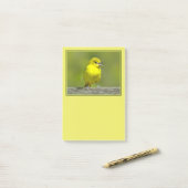 Orchard Oriole - Original Foto Post-it Klebezettel (Auf Schreibtisch)