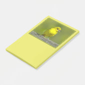 Orchard Oriole - Original Foto Post-it Klebezettel (angewinkelt)