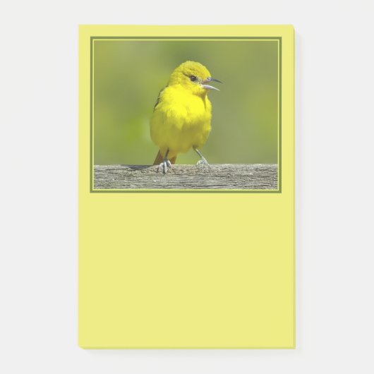 Orchard Oriole - Original Foto Post-it Klebezettel (Vorderseite)