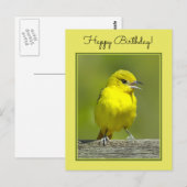 Orchard Oriole - Original Foto Postkarte (Vorne/Hinten)