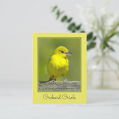 Orchard Oriole - Original Foto Postkarte (Stehend Vorderseite)