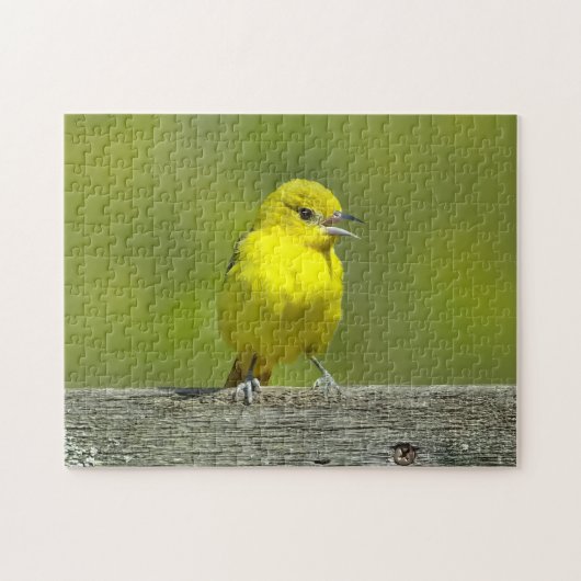 Orchard Oriole - Original Foto Puzzle (Horizontal)