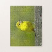 Orchard Oriole - Original Foto Puzzle (Vertikal)