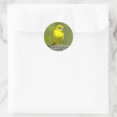 Orchard Oriole - Original Foto Runder Aufkleber (Tasche)