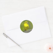 Orchard Oriole - Original Foto Runder Aufkleber (Umschlag)