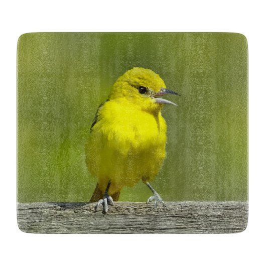 Orchard Oriole - Original Foto Schneidebrett (Vorderseite)