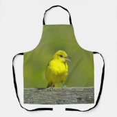 Orchard Oriole - Original Foto Schürze (Vorderseite)