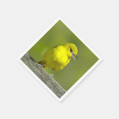 Orchard Oriole - Original Foto Serviette (Ecke)