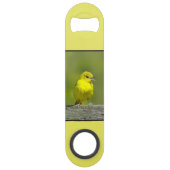 Orchard Oriole - Original Foto Speed Flaschenöffner (Rückseite)