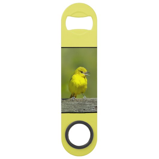 Orchard Oriole - Original Foto Speed Flaschenöffner (Vorderseite)