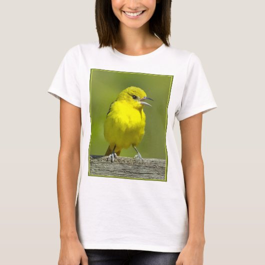 Orchard Oriole - Original Foto T-Shirt (Vorderseite)