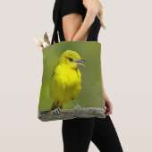 Orchard Oriole - Original Foto Tasche (Von Nahem)