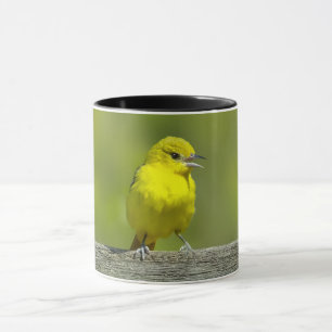 Orchard Oriole - Original Foto Tasse