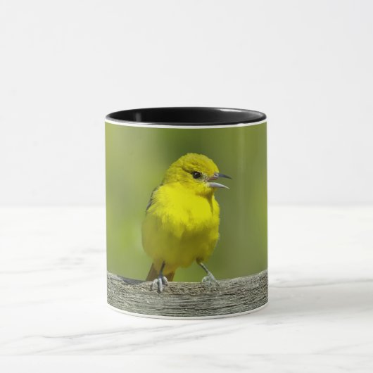 Orchard Oriole - Original Foto Tasse (Zentrum)