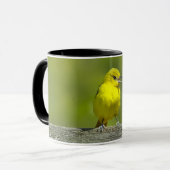 Orchard Oriole - Original Foto Tasse (Vorderseite Links)