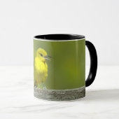 Orchard Oriole - Original Foto Tasse (VorderseiteRechts)