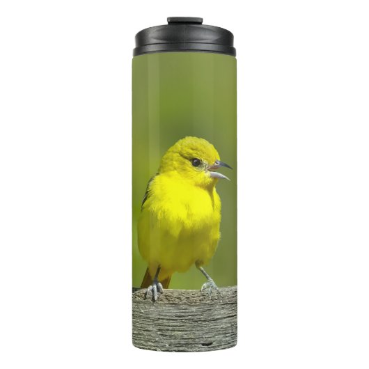 Orchard Oriole - Original Foto Thermosbecher (Vorderseite)