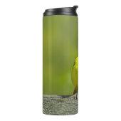 Orchard Oriole - Original Foto Thermosbecher (Nach links gedreht)