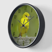 Orchard Oriole - Original Foto Uhr (Winkel)