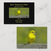 Orchard Oriole - Original Foto Visitenkarte (Vorne/Hinten)