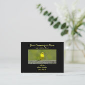 Orchard Oriole - Original Foto Visitenkarte (Stehend Vorderseite)