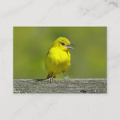 Orchard Oriole - Original Foto Visitenkarte (Rückseite)